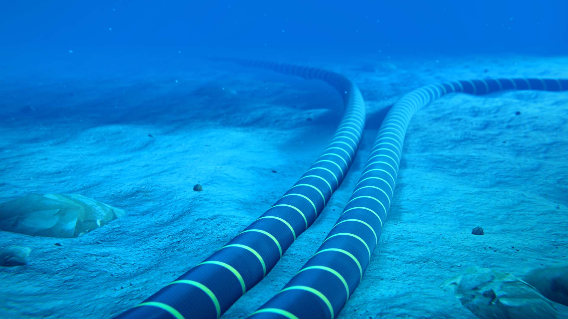 Cavi sottomarini in fibra ottica sul fondale marino